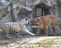 National Zoological Park, New Delhi