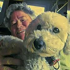 Amazon.com: Joshua Sheets: books, biography, latest update