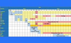 Jadwal imunisasi bayi sebaiknya diketahui oleh para orang tua. Jadwal Imunisasi Bayi Hingga Anak 16 Tahun Versi Ikatan Dokter Anak