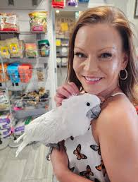 Navy and Green Modern Formal Annual Report A4 Document