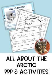 Arctic Activities Arctic Arctic Animals Science Activities For Kids