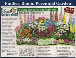 Might Try This Lay Out On Graph Paper Perennial Garden Plans Flower Garden Plans Endless Blooms Perennial Garden
