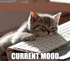 Current Mood Meme Tired | So tired meme, Tired funny, Exhausted humor