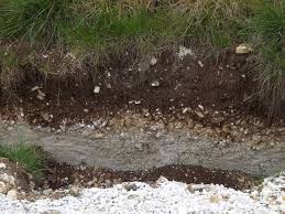 We did not find results for: What Is Soil Here S The Inside Scoop