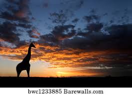 Framedart.com has been visited by 10k+ users in the past month 26 591 South Africa Landscape Posters And Art Prints Barewalls