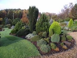 Pin By Elizabeth Holley On Yard Ideas Conifers Garden Garden Shrubs Evergreen Landscape