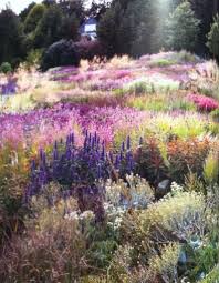 Pastel Drifts Piet Oudolf Garden I Just Kinda Want To Roll Around In It And Hug Someone With Allergies Wildflower Garden Garden Inspiration Urban Garden