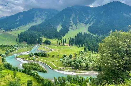Betaab Valley stream pine forest Pahalgam
