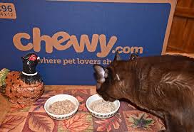A hairball every now and then (often with foamy or yellow liquid) may one other scenario in which your cat might vomit is undigested food. Cats Tales Reviews Music And Miko Cat Food 50 Off