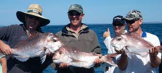 Port Stephens Fishing Charters Nelson Bay Game Fishing Deep Sea Fishing