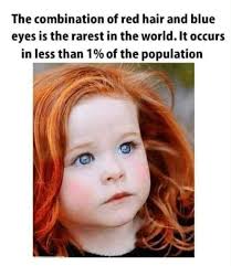 Limited Edition Hippie Quilt Blanket for Sale