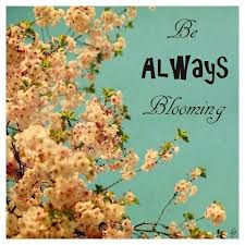 We did not find results for: Inspirational Quotes About Flowers Blooming Quotesgram