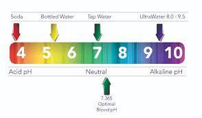 what is alkaline al diyar water