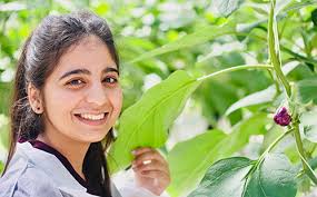 Vale Professor (Elizabeth) Anne Cutler