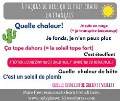Dire Qu Il Fait Chaud En Francais Expressions Polyglotcoach Polyglotcoach Twitter Twitter Marketing Phrase Expressions