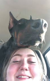 Who Wanna ride with me long drive??