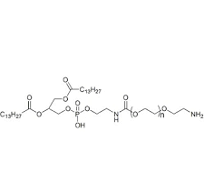 DMPE-PEG-NH2