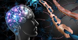 Check spelling or type a new query. Scleroza In Placi Simptome Si Tratament Neuroaxis