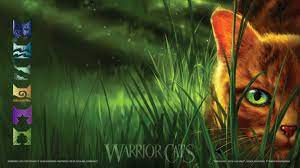 The great collection of warrior cats backgrounds for desktop, laptop and mobiles. Download Warrior Cats Zoom Backgrounds For Your Lockdown Video Calls Warrior Cats