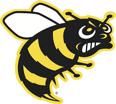 Savannah College Of Art And Design Savannah Chat College Art Online Graphic Design Course