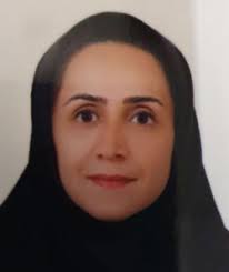 Faculty information system