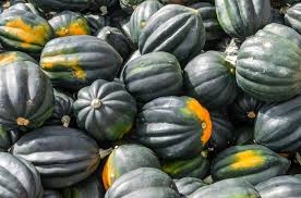 How To Identify Squash Different Squash Types You Didnt