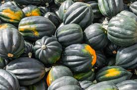 how to identify squash different squash types you didnt