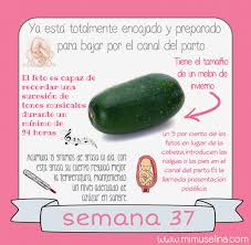 En las 33 semanas de embarazo tu pequeño ya está formado casi por completo, sólo necesita ganar peso y contextura para estar mucho más protegido cuando venga al mundo. Bravo 33 Listas De 30 Semanas De Embarazo Cuantos Meses Son La Respuesta Correcta Es A La Pregunta Olarte84579