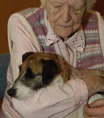 1er juillet au 30 juin Des gens de cœur et de talent Des chiens en santé et  bien entraînés Des services de qualité et sécu