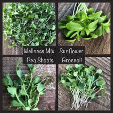 Maybe you would like to learn more about one of these? Affiliate Friends Info Page Local Grown Microgreens Fresh Cut Dahlias Vancouver Wa Blue Heron Event Co