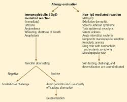 Penicillin Allergy A Practical Guide For Clinicians