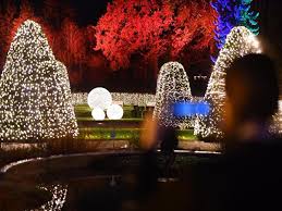 Der botanische garten & botanisches museum berlin verleihen die dafür notwendige ausrüstung. Botanischer Garten Weihnachtlich Erleuchtet Berlin De