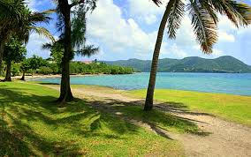 Anse Gros Raisin My Island Martinique Caribbean