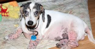 Maybe you would like to learn more about one of these? Natural Ways To Treat Yeast Infections Instincto