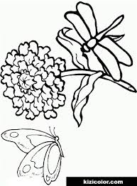 Dragonfly floral mandala coloring page 23 best dragonfly coloring pages for adults.colorit makes superior quality adult coloring books that will thrill the senses and also kick back the mind. Dragonfly Color Pages Free Print And Color Online