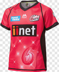 This makes it suitable for many types of projects. Sixers Logo Sydney Sixers Jersey 2019 Transparent Png 603x741 10236830 Png Image Pngjoy