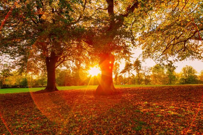 Today is the first day of fall. Here's why | PBS News