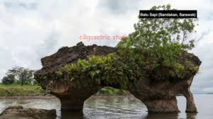 Dibalik kegembiraan memancing, kadang kita lupa bahaya yang mengintai. Geografi Tingkatan 1 Pinggir Laut Di Malaysia Youtube