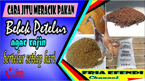 Makanan itik agar bertelur banyak dengan beberapa pilihan ransum untuk produksi bulan. Cara Jitu Meracik Pakan Bebek Petelur Dan Pedaging Agar Rajin Bertelur Sehat Dan Gemuk Youtube