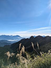 Conrad Benz (@conradlbenz)