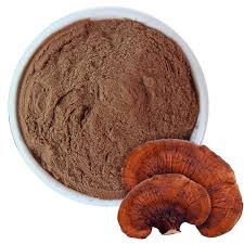Organic Reishi Mushroom Extract Powder - 24 Months Shelf Life