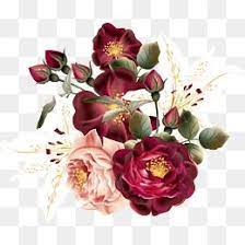 Red Flowers Png Free Download Flower Png Images Floral Poster Floral Border Design