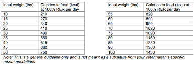 Explicit English Mastiff Puppy Weight Chart Saint Bernard