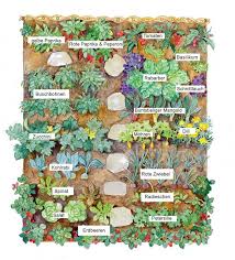 Pflanzenplan Fur Eine Gute Mischkultur Im Gemusegarten Garten Dekorationen Keuken Tuin Biologisch Tuinieren Moestuin