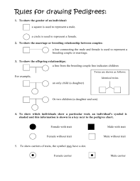 The easiest way to draw a family tree is start with a family tree template. Rules For Drawing Pedigrees