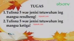 Oiya bahasa jawa (bahasa jawa: Soal Dan Jawaban Sd Kelas 3 Sbo Tv Senin 26 Oktober Tulisna 5 Jenis Tetuwuhan Ing Mangsa Rendheng Surya