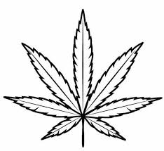 You'lllove to draw in incredible ways. Herban Planet Marijuana Cannabis Business Guide