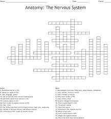 Nervous system that consists of the brain and spinal column 6. The Nervous System Word Search Wordmint