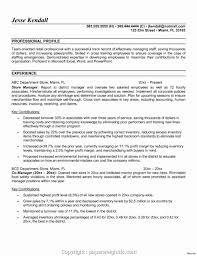 grocery store manager resume lovely new