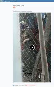 Unrelated image, pornographic photo shared to target JMI scholar Safoora  Zargar - Alt News